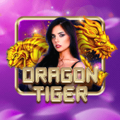 Dragon Tiger bingo game live casino