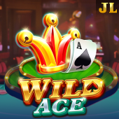 Wild Ace bingo game slot